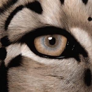 公交强奸内射美女奸小说
